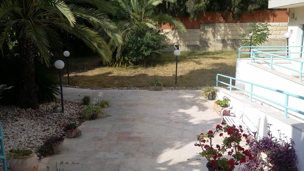 Carmel Mountain Motel ハイファ エクステリア 写真